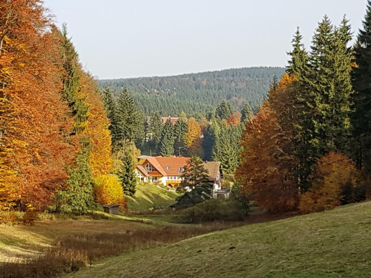 Ferienhaus Am Rennsteig شميدِفِلد آم رين المظهر الخارجي الصورة